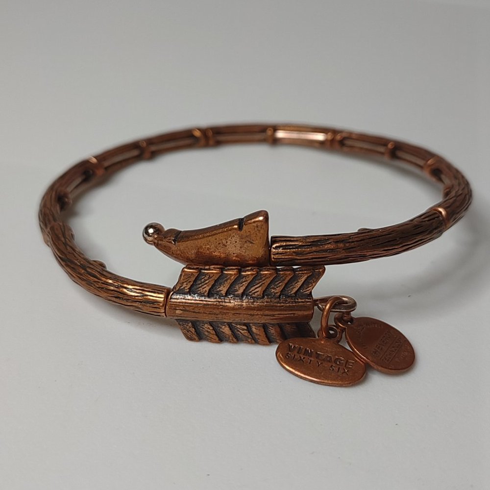 Very Cool Alex And Ani Metal Energy Arrow Bracelet